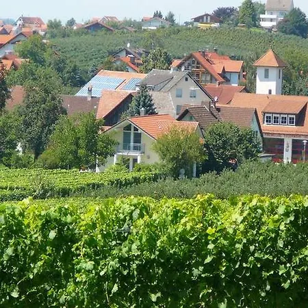 Appartement Haus Mesmer Hattnau
