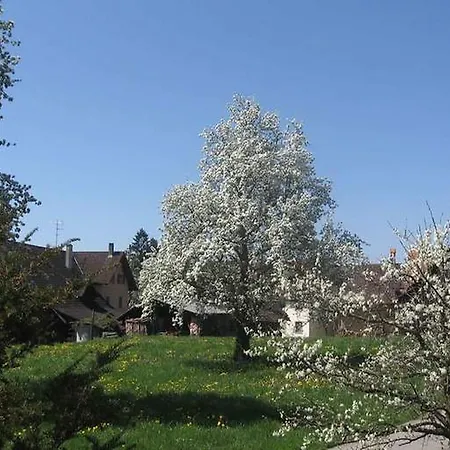 Haus Mesmer