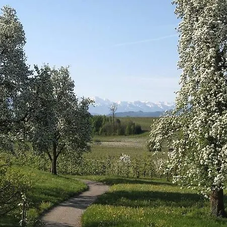 Appartement Haus Mesmer Hattnau